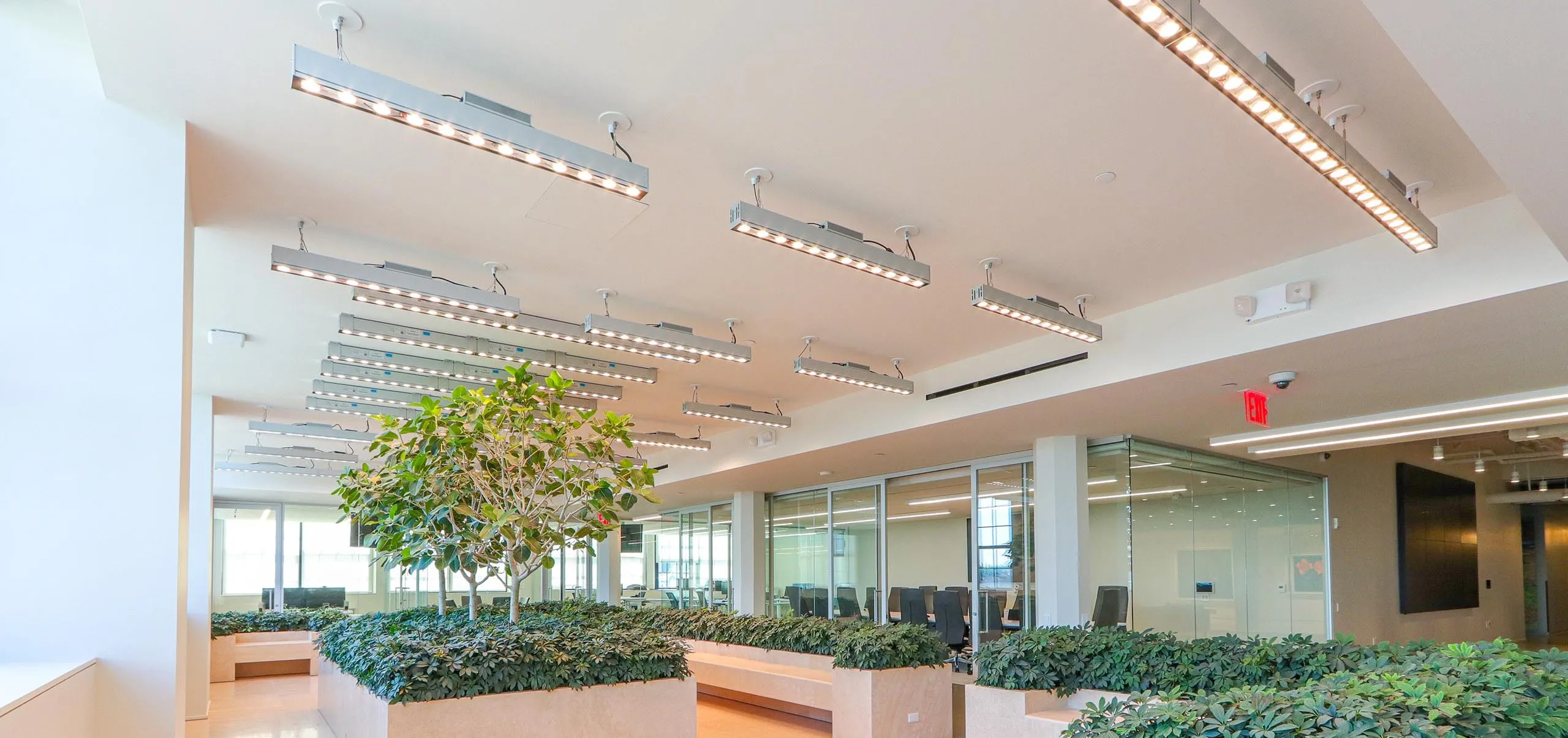 Indoor garden and seating with meeting rooms in the background in BSE Global