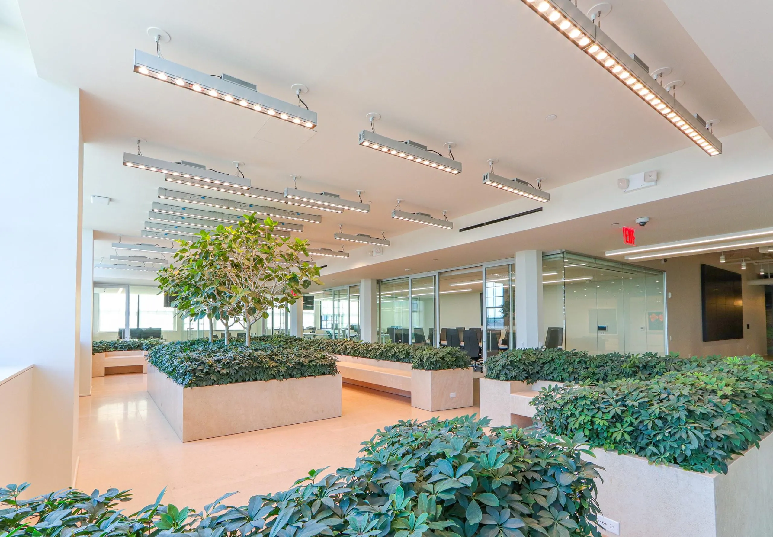 Indoor garden and seating with meeting rooms in the background in BSE Global