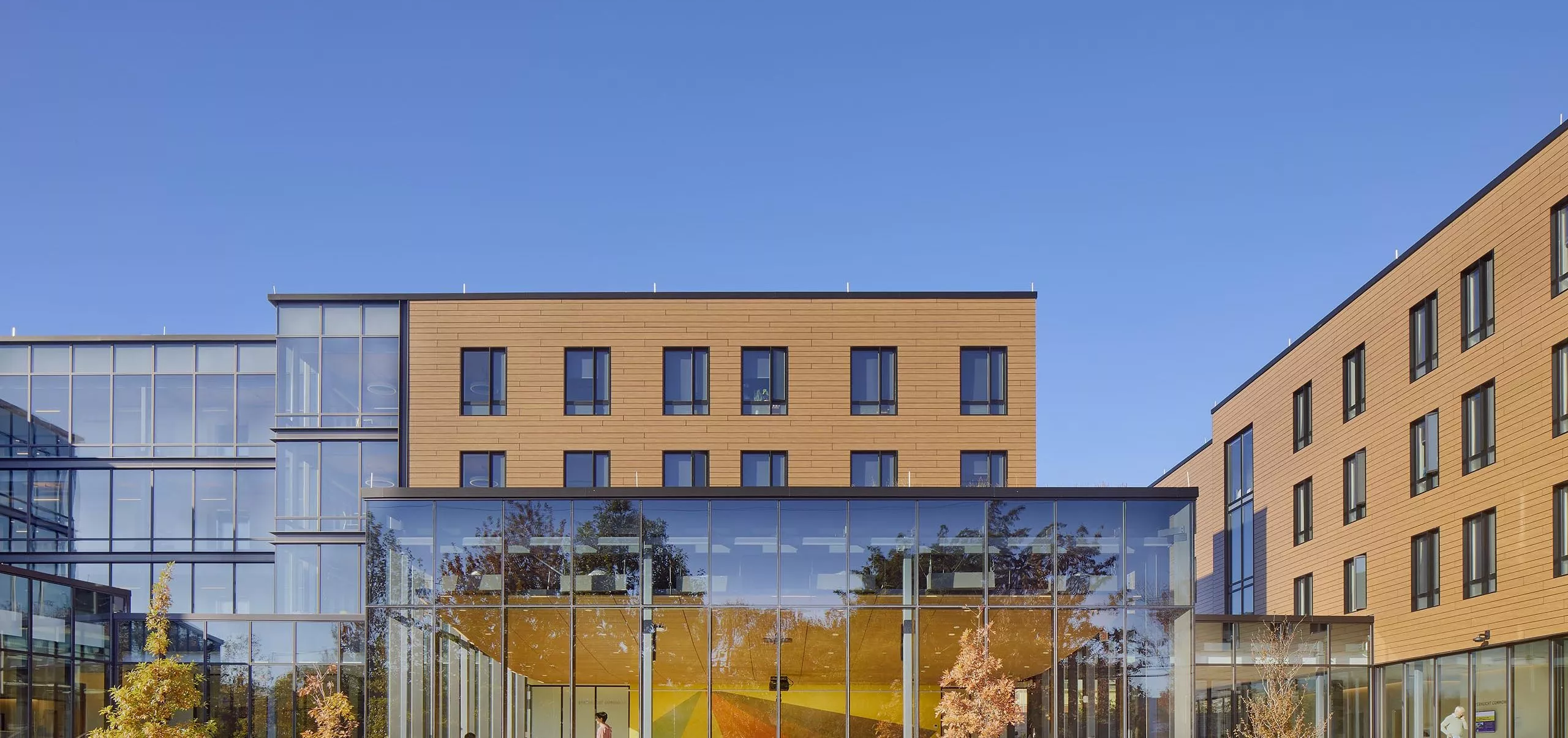 Street view of Sternlicht Residential Commons and Health & Wellness Center with large windows