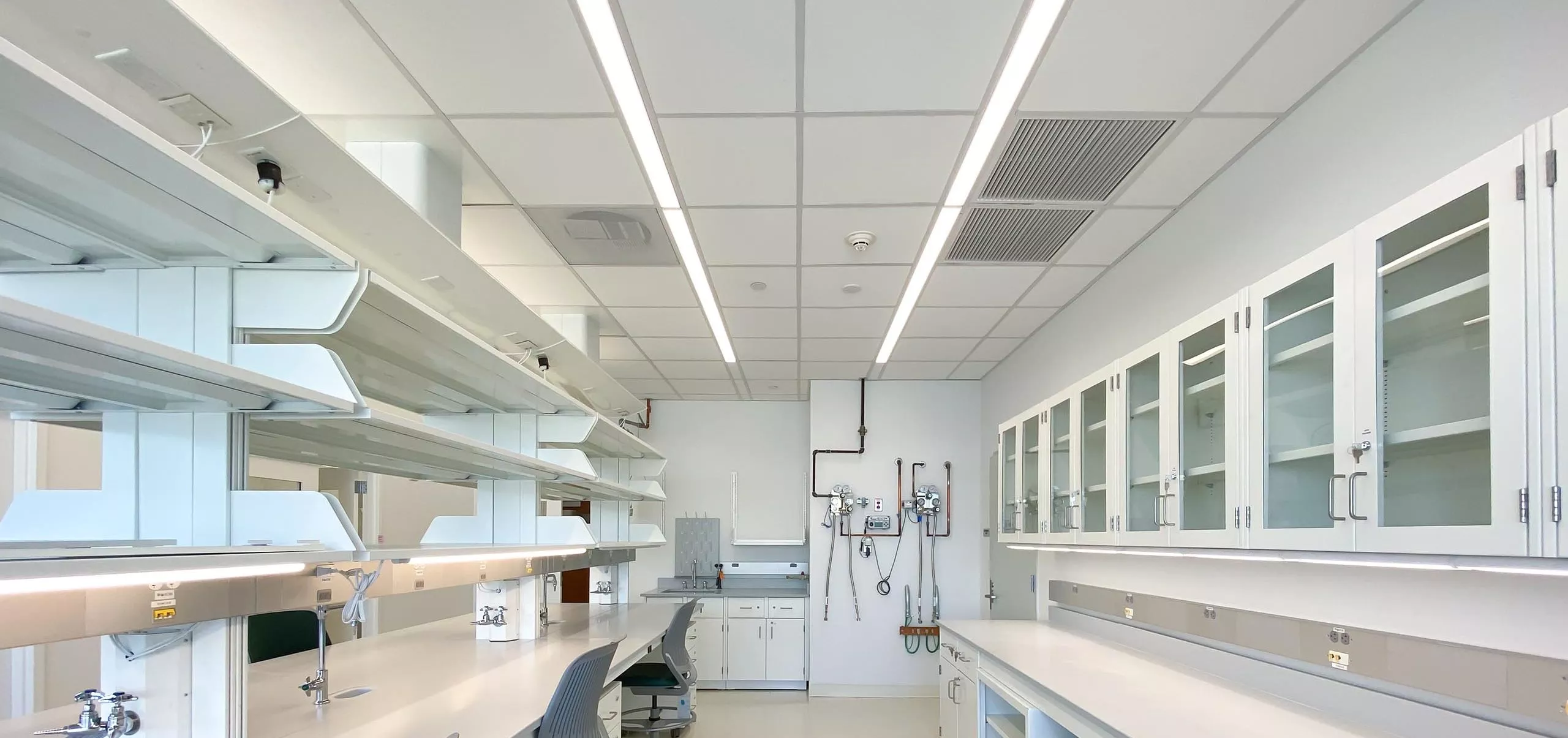 Tables, cabinets and chairs in lab at Andolfatto Lab