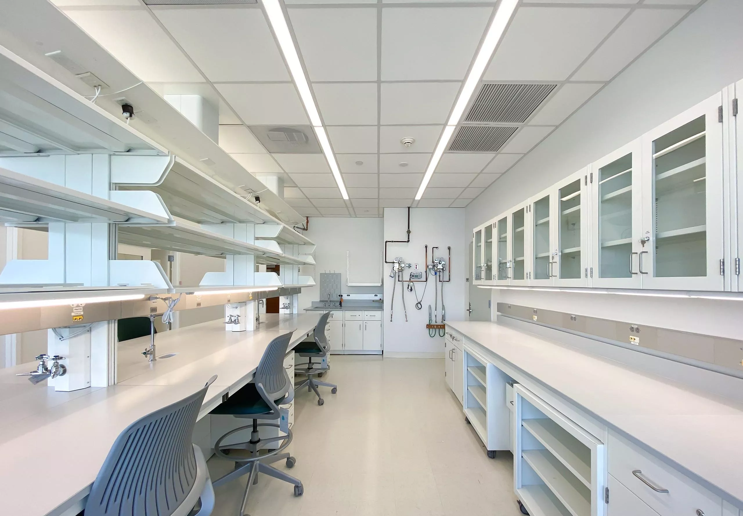 Tables, cabinets and chairs in lab at Andolfatto Lab