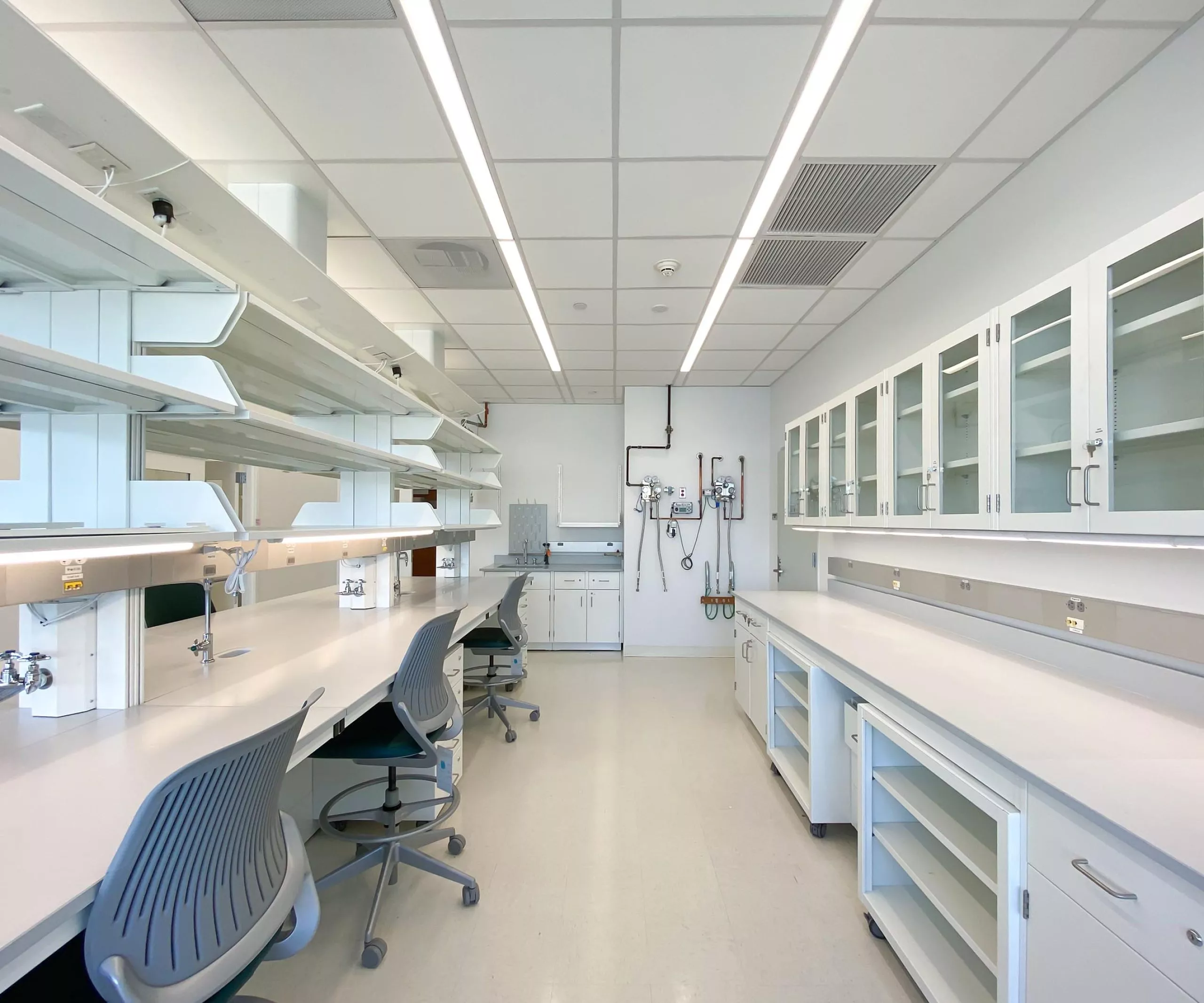 Tables, cabinets and chairs in lab at Andolfatto Lab