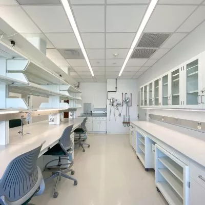 Tables, cabinets and chairs in lab at Andolfatto Lab