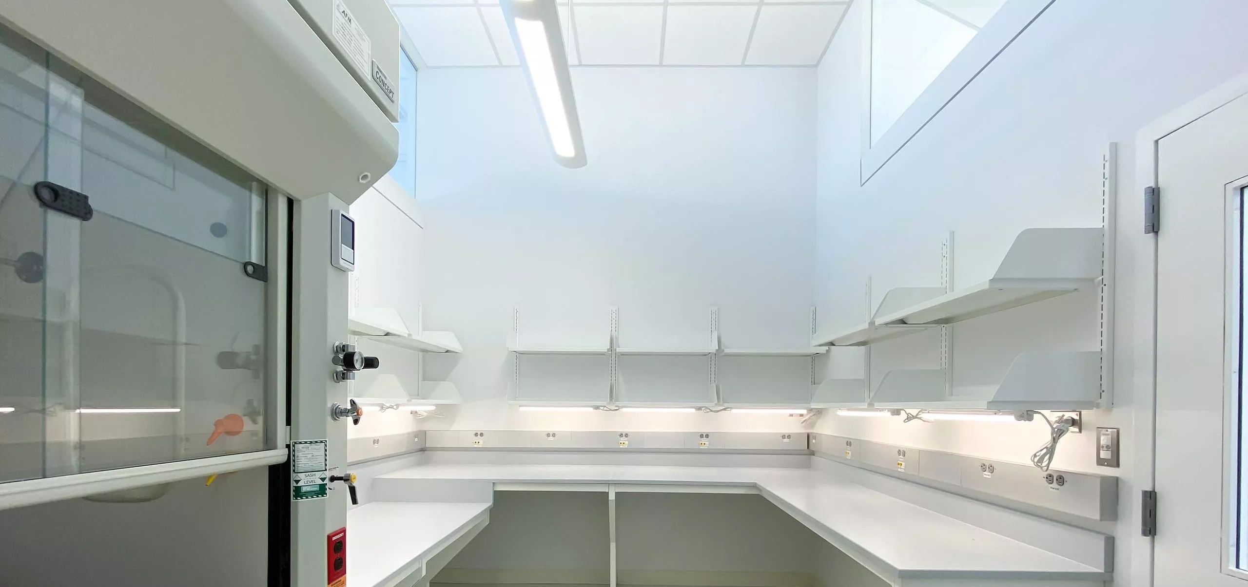 Tabletops and fume hood at Andolfatto Lab