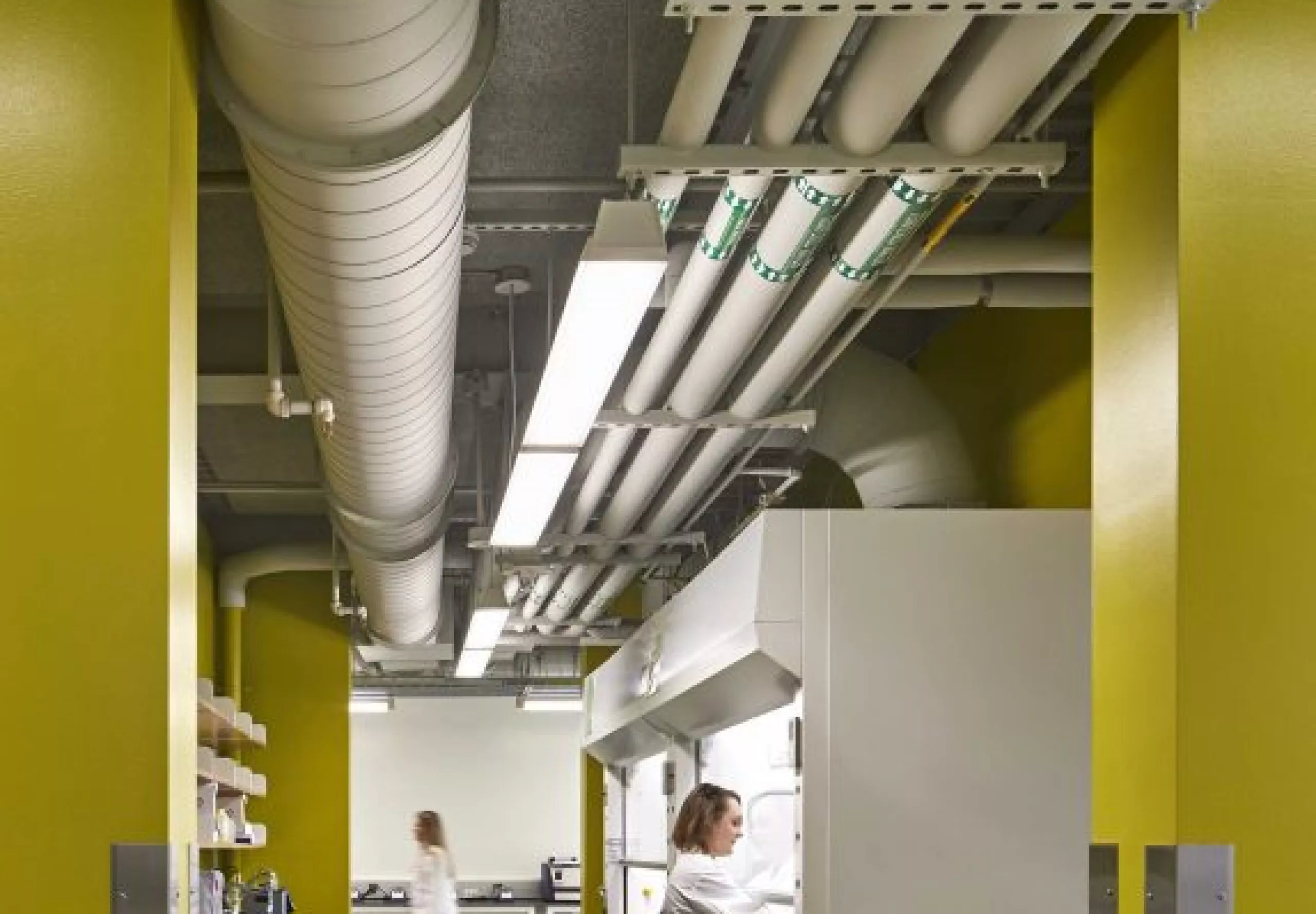 Interior view of the lab at Harvard Business School Pagliuca Life Lab