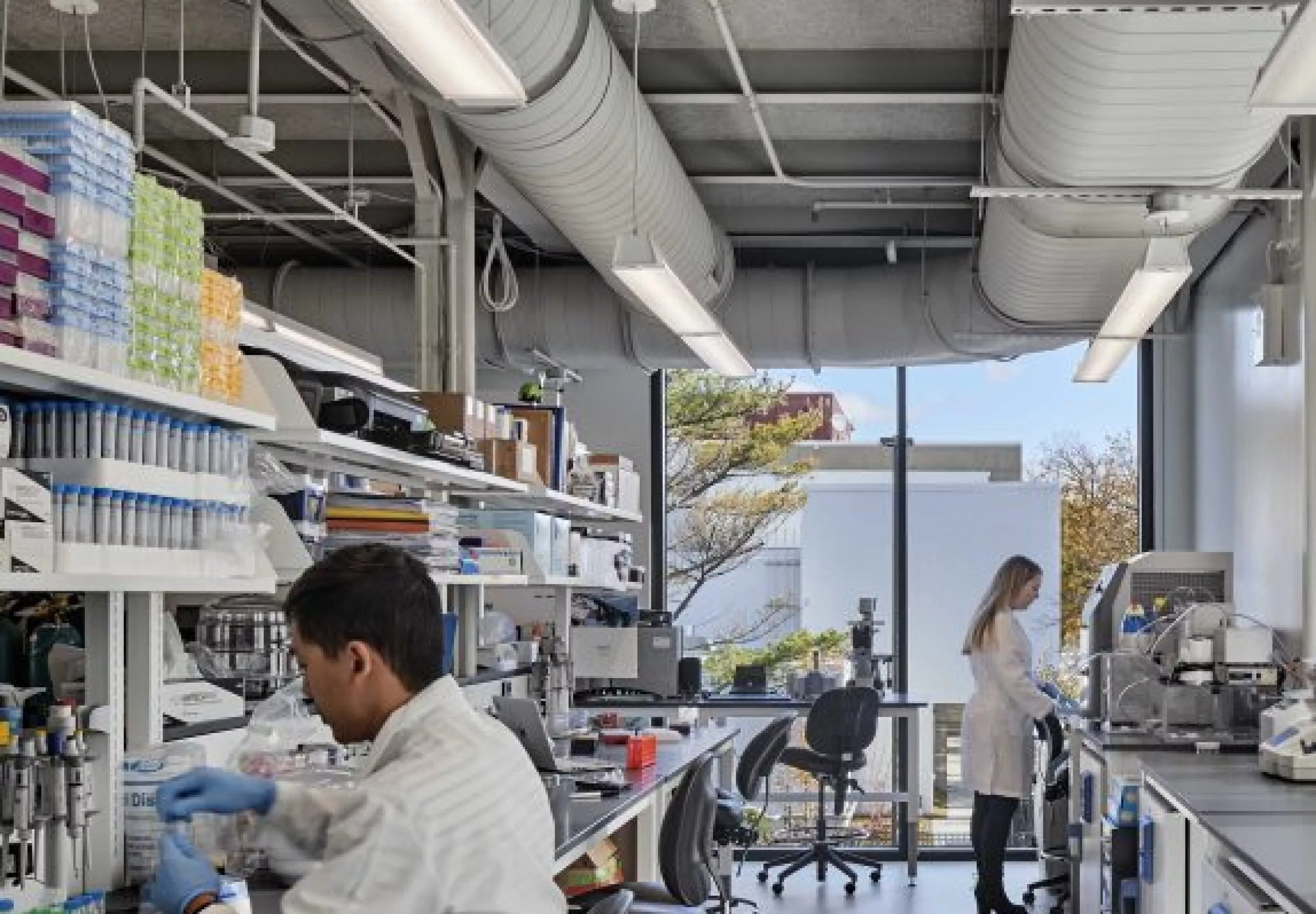 Interior view of the lab with two people in lab coats working at Harvard Business School Pagliuca Life Lab