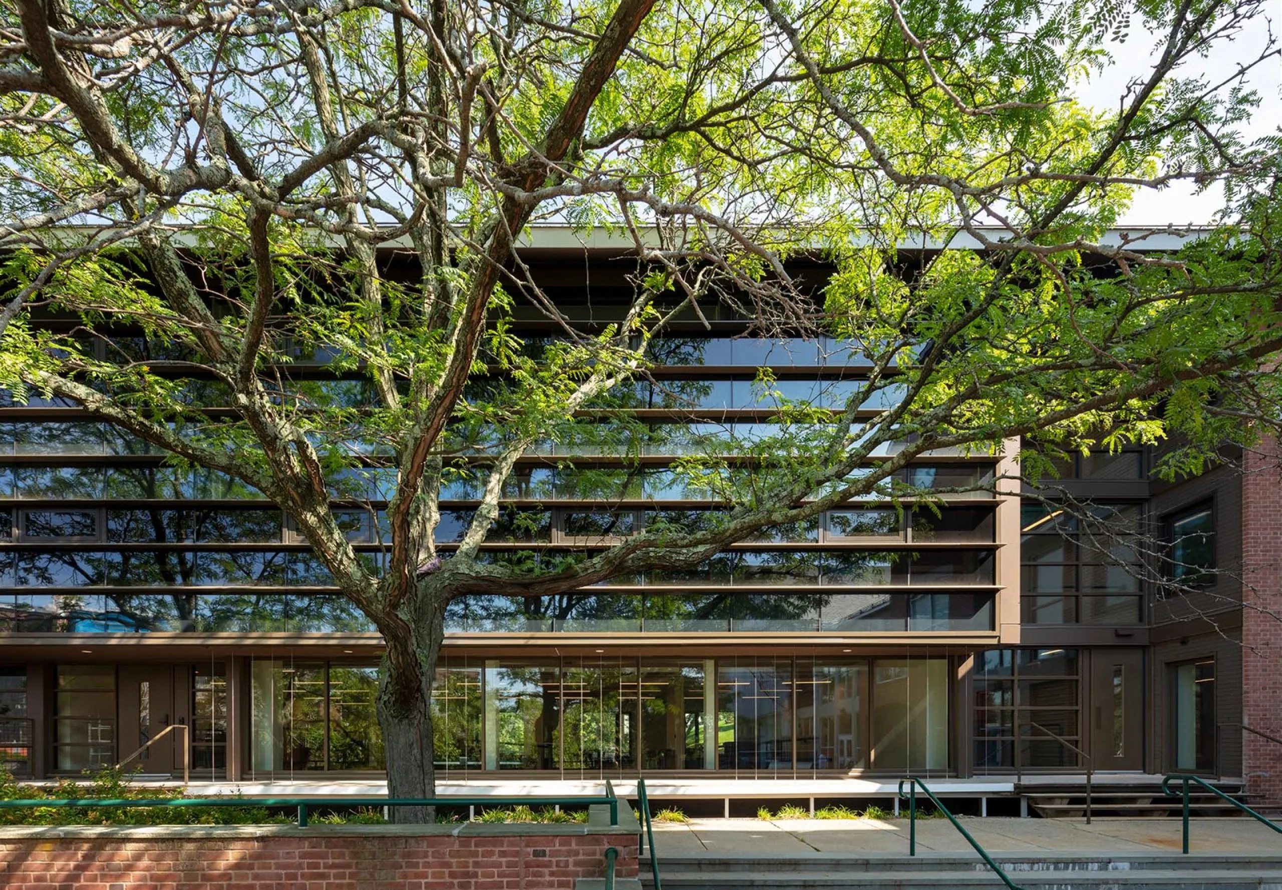 Outdoor image of RISD Quad Block